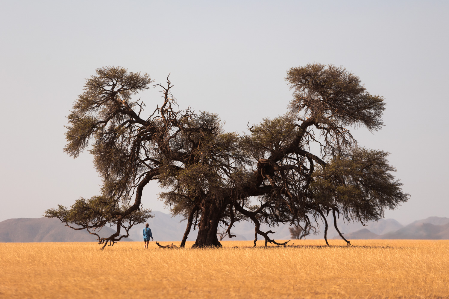 Print Mockup B - Detail